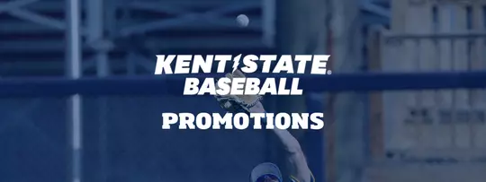 Baseball Promotions