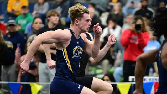 mitf_action_enander_01