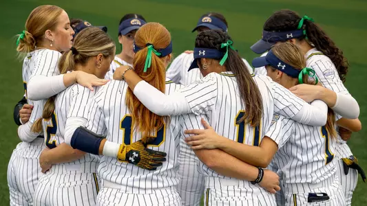 sball_action_team_60