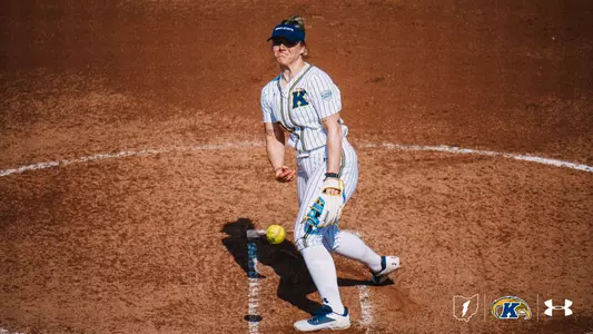sball_action_pochie01