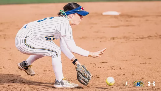 sball_action_robeson_15