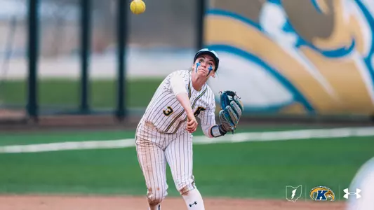 sball_action_libler10