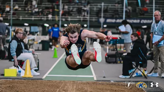 mitf_action_enander_02