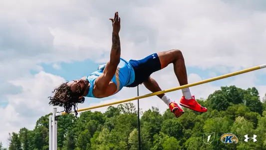 motf_action_cattage_01