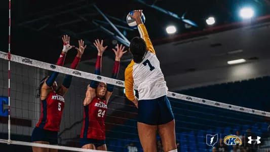 vball_action_brown_01