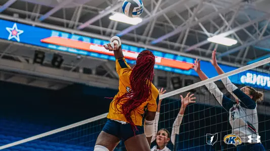 vball_action_mcgee01