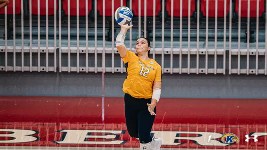 vball_action_patterson_01