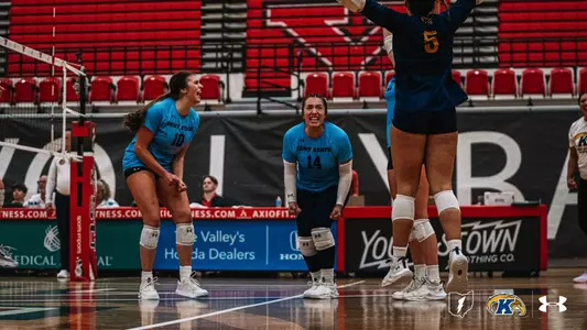 vball_action_vigil02