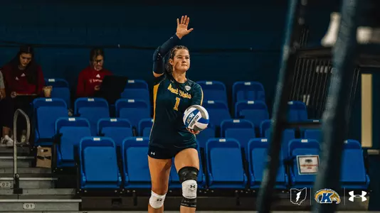 vball_action_bolognini03