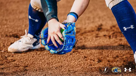 Softball glove general