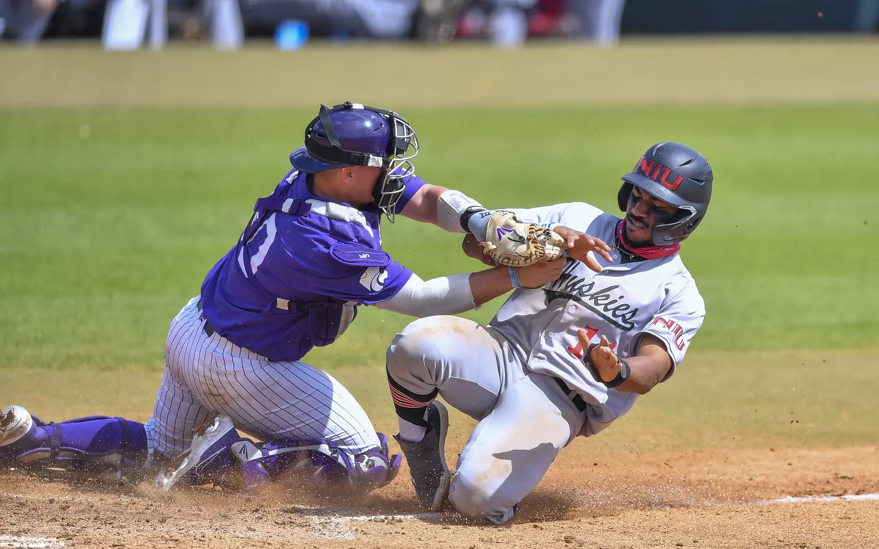 March 12, 2021: During the game three between the Northern Illinois Huskies and the Kansas State Wildcats at Reckling Park in Houston, Texas. (Mandatory Credit: Maria Lysaker | Rice Athletics)