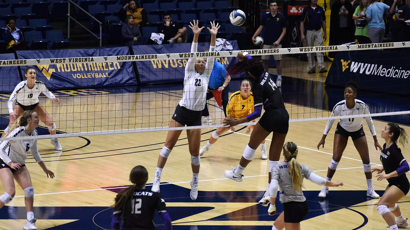 VB at WVU