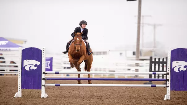 Wildcats Earn NCEA Academic Accolades