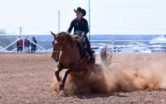 Wildcats Prepare for NCEA Championship
