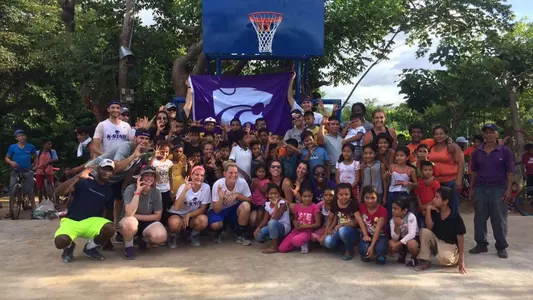 Cats Across Continents