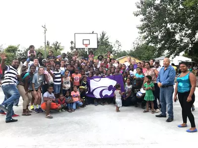 Cats Across Continents