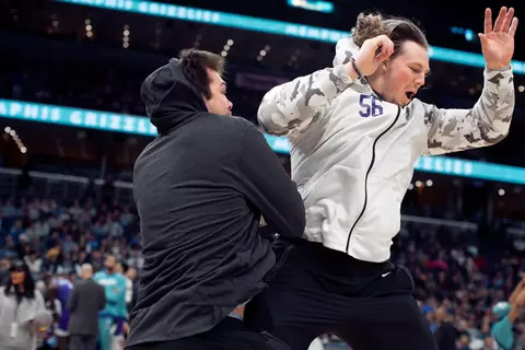 Cats - Memphis Grizzlies
