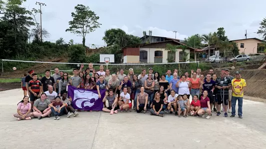 Cats Across Continents