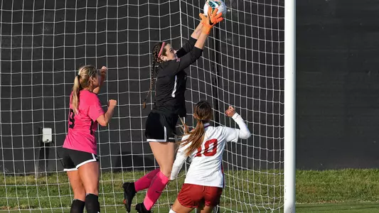 Alaina Werremeyer vs. OU - 2020