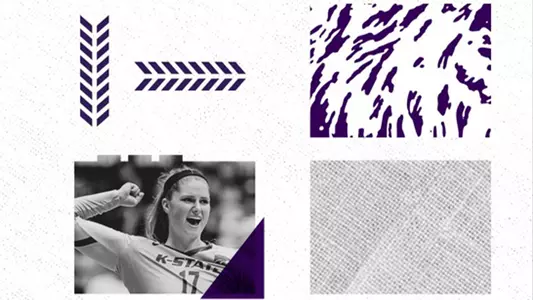 Design details from K-State 2020 campaign