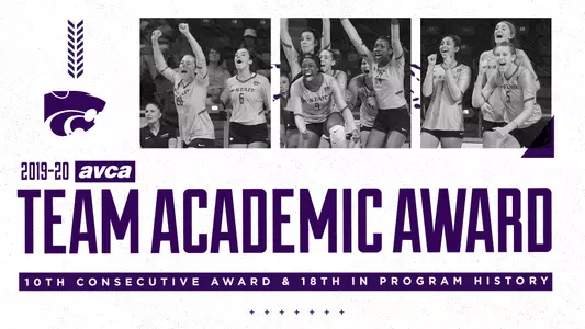 VB AVCA Academic Award