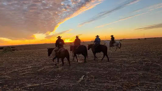 EQ Helps Wildfires SE 21