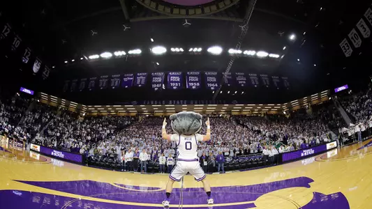Willie the Wildcat at Bramlage