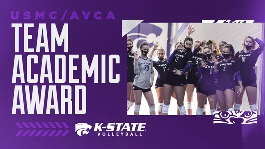 VB AVCA Team Academic Award