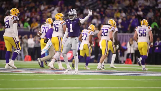 Reggie Stubblefield vs. LSU - Texas Bowl