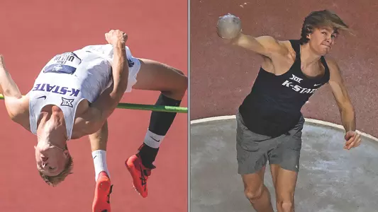 Uhlin-Forselles Web Graphic