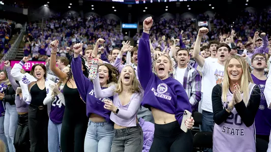 Fans at T-Mobile Center