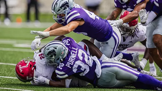 Desmond Purnell vs. Troy