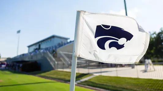 Corner flag at Buser Family Park