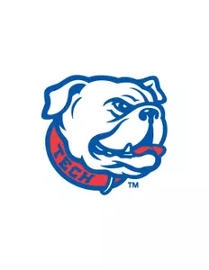 New Bulldog Design