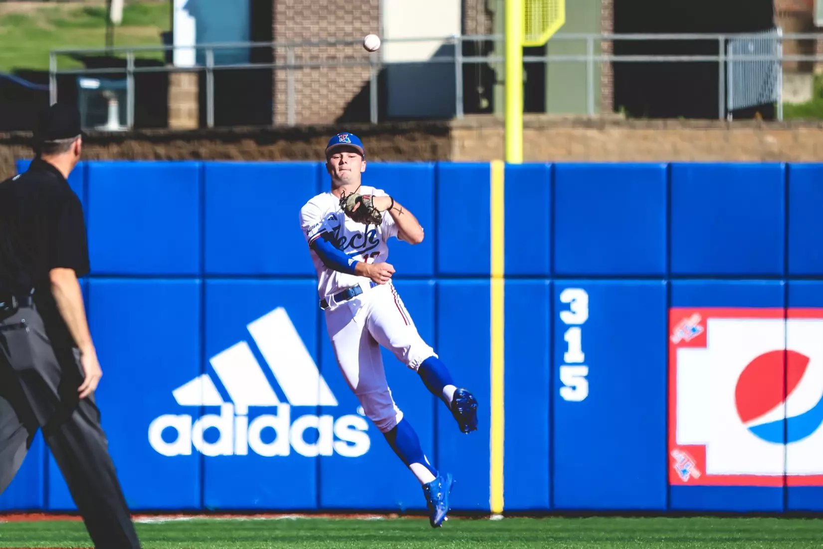 Bulldogs walk it off in extra innings to take series from Wildcats