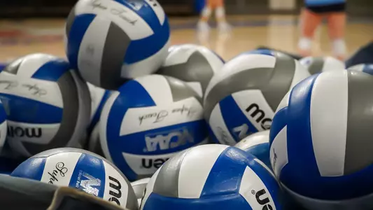 Volleyballs