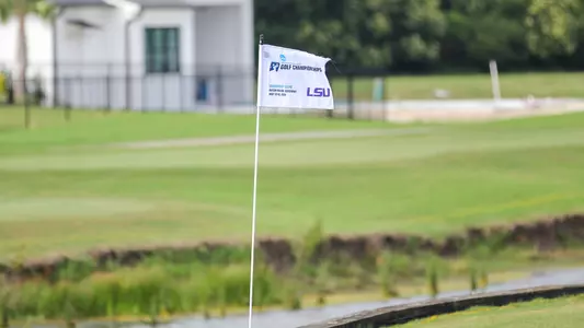 NCAA Baton Rouge Regional flag