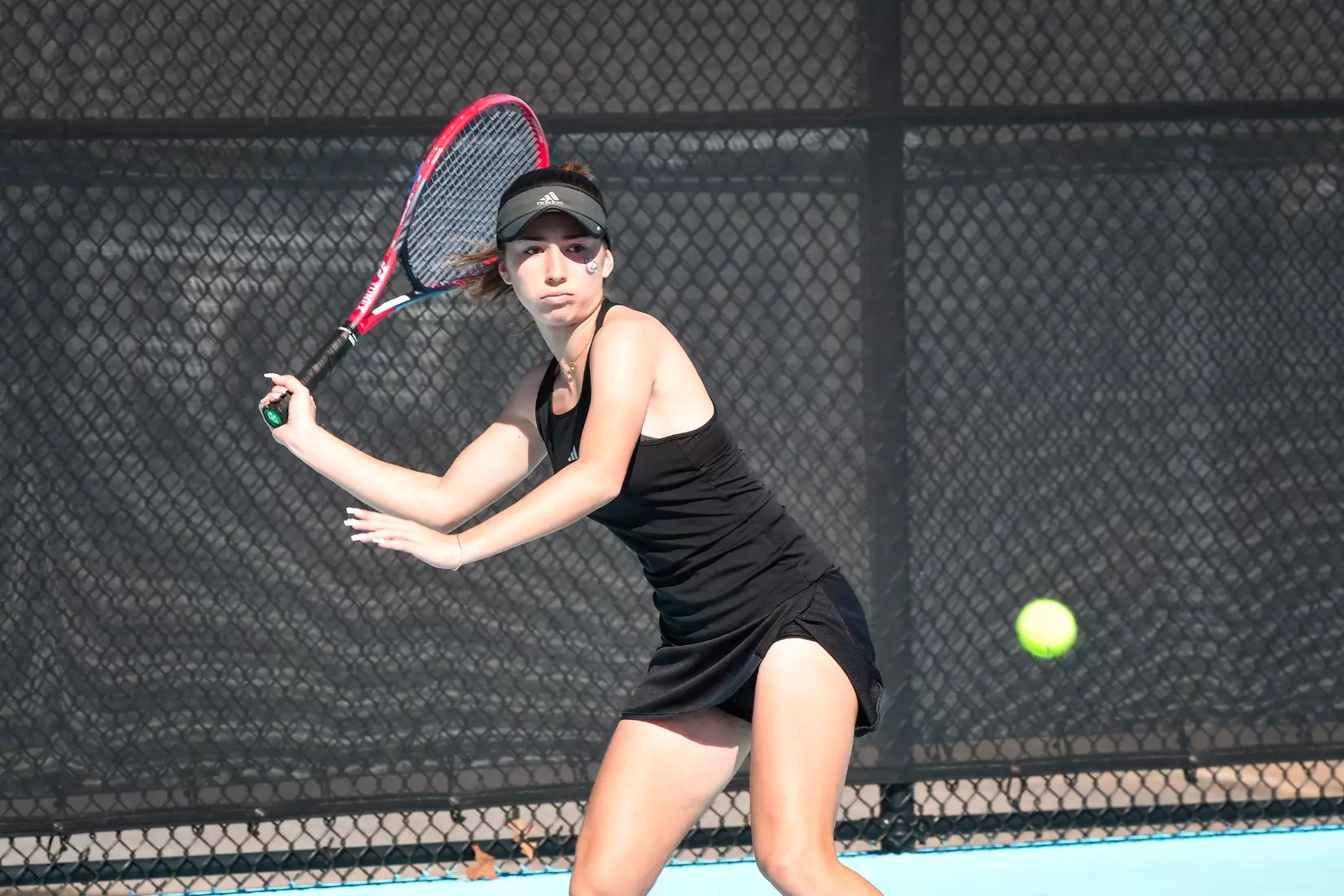 Bulldogs sweep pair of home matches Saturday