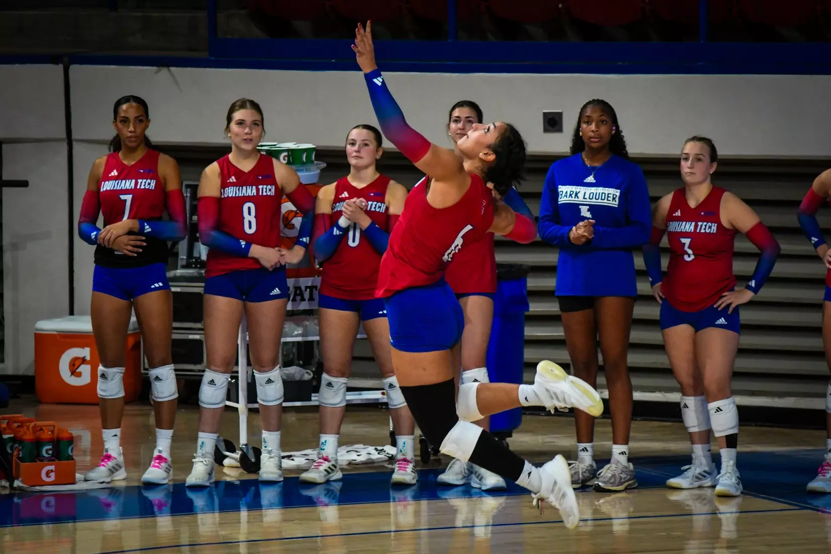 Bulldogs fall in straight sets to the Hilltoppers on Saturday afternoon