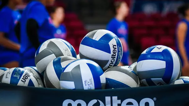 Volleyballs