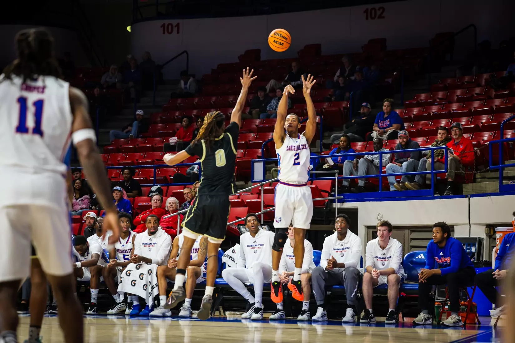 Bulldogs dominate Royals, 89-37, to remain unbeaten at home
