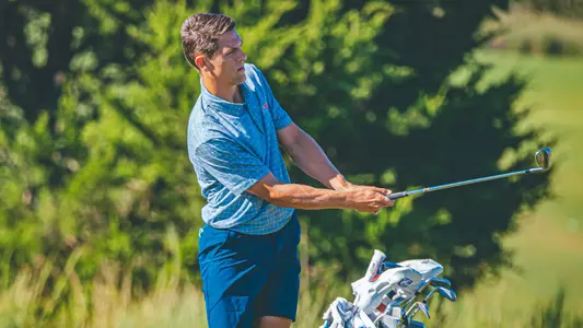 Gray Kingrea
