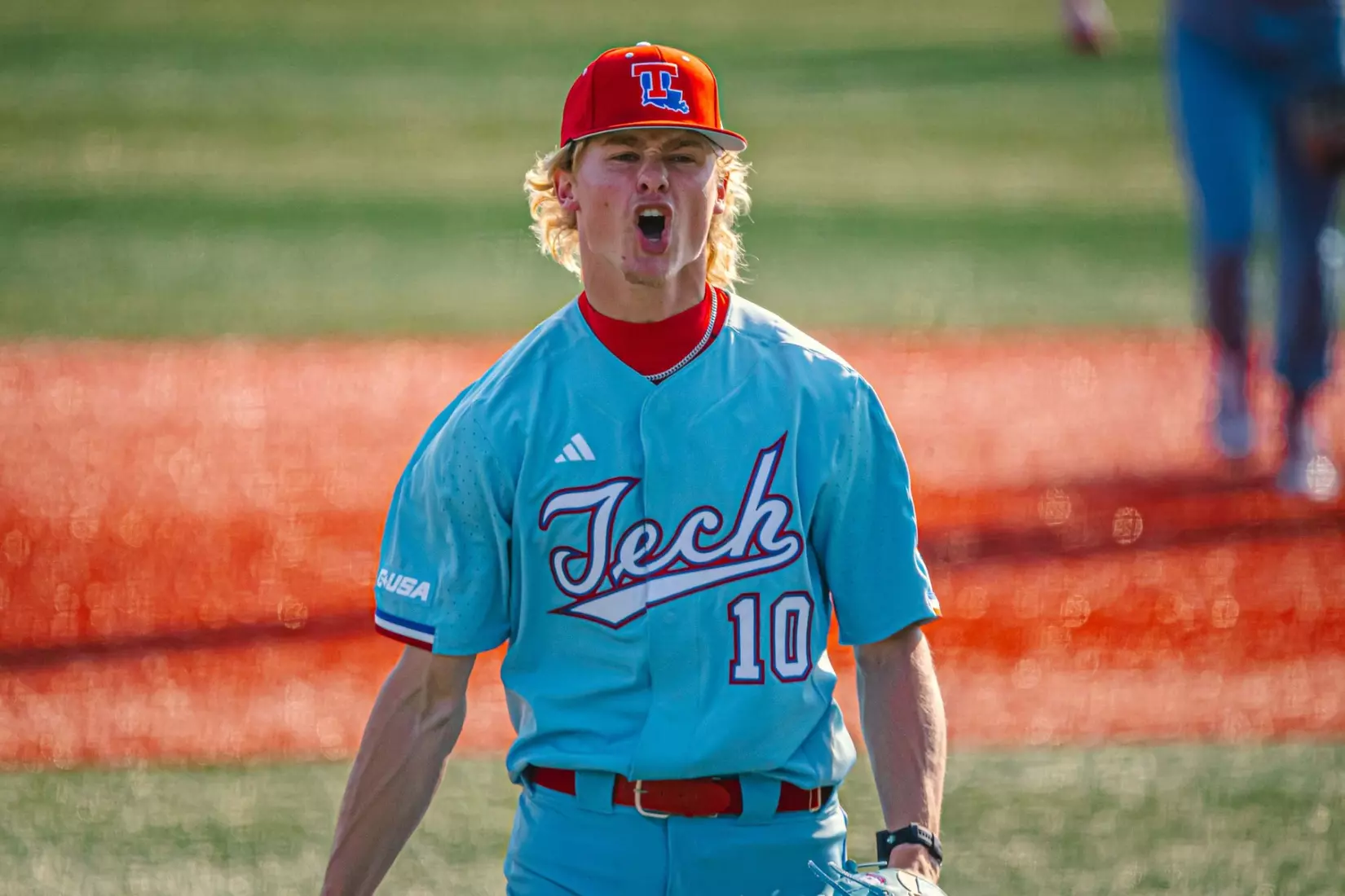 Bulldogs dropped weekend series against Tigers