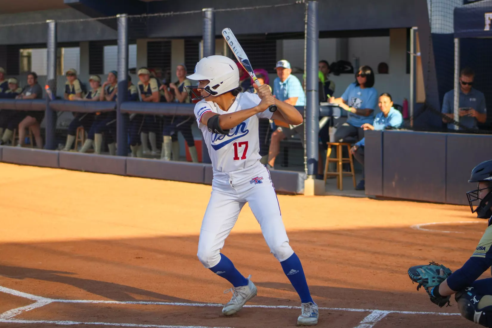 Bulldogs Fall to Panthers in Game Two of Series.