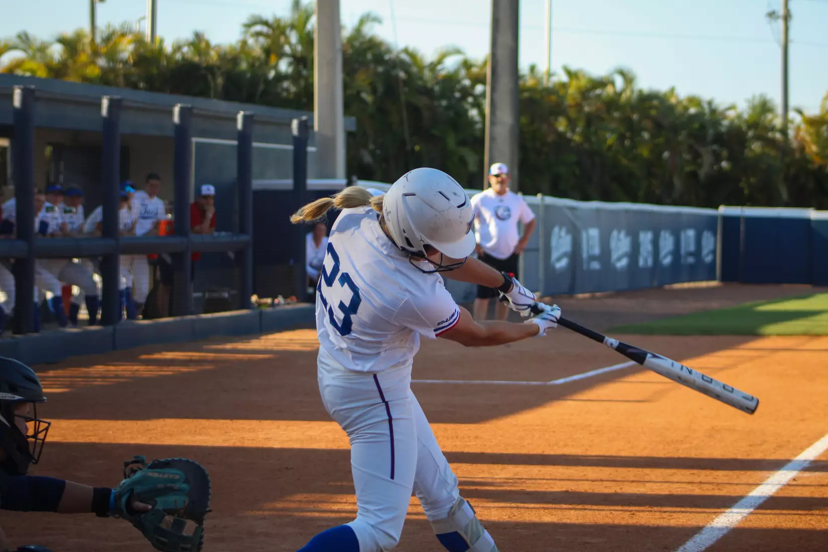 Bulldogs Fall to Panthers in Game Two of Series.