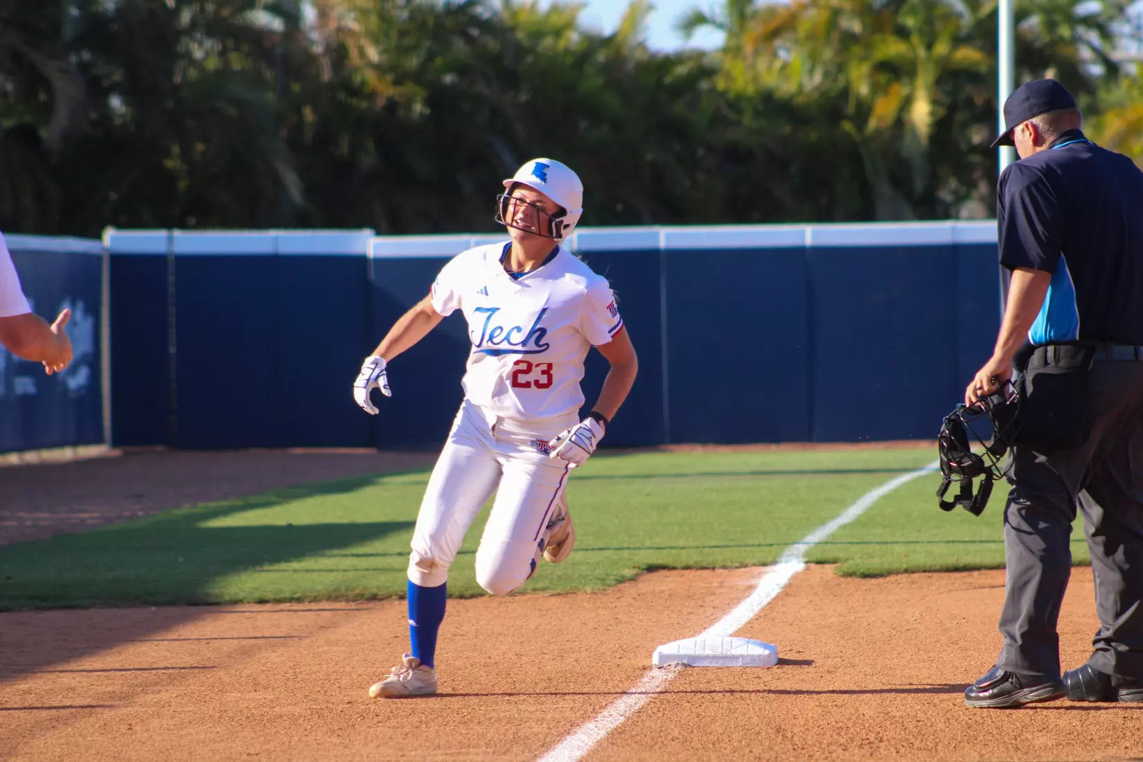 Bulldogs Fall to Panthers in Game Two of Series.