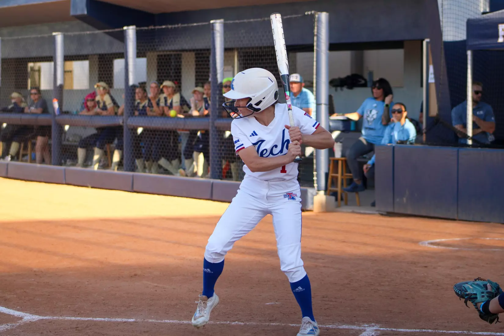 Bulldogs Fall to Panthers in Game Two of Series.