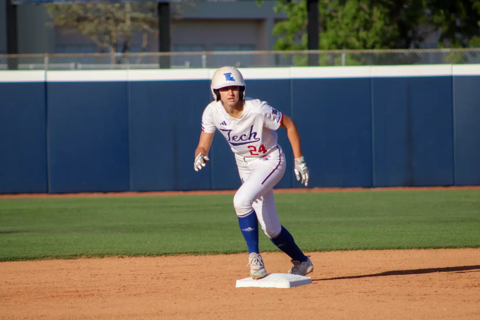 Bulldogs Fall to Panthers in Game Two of Series.
