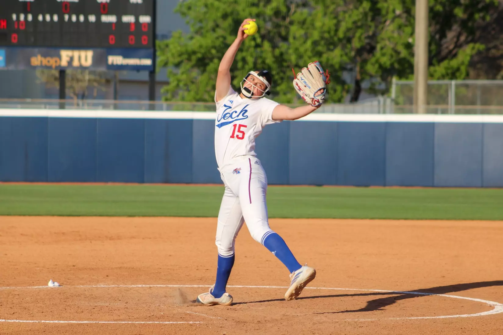 Bulldogs Fall to Panthers in Game Two of Series.