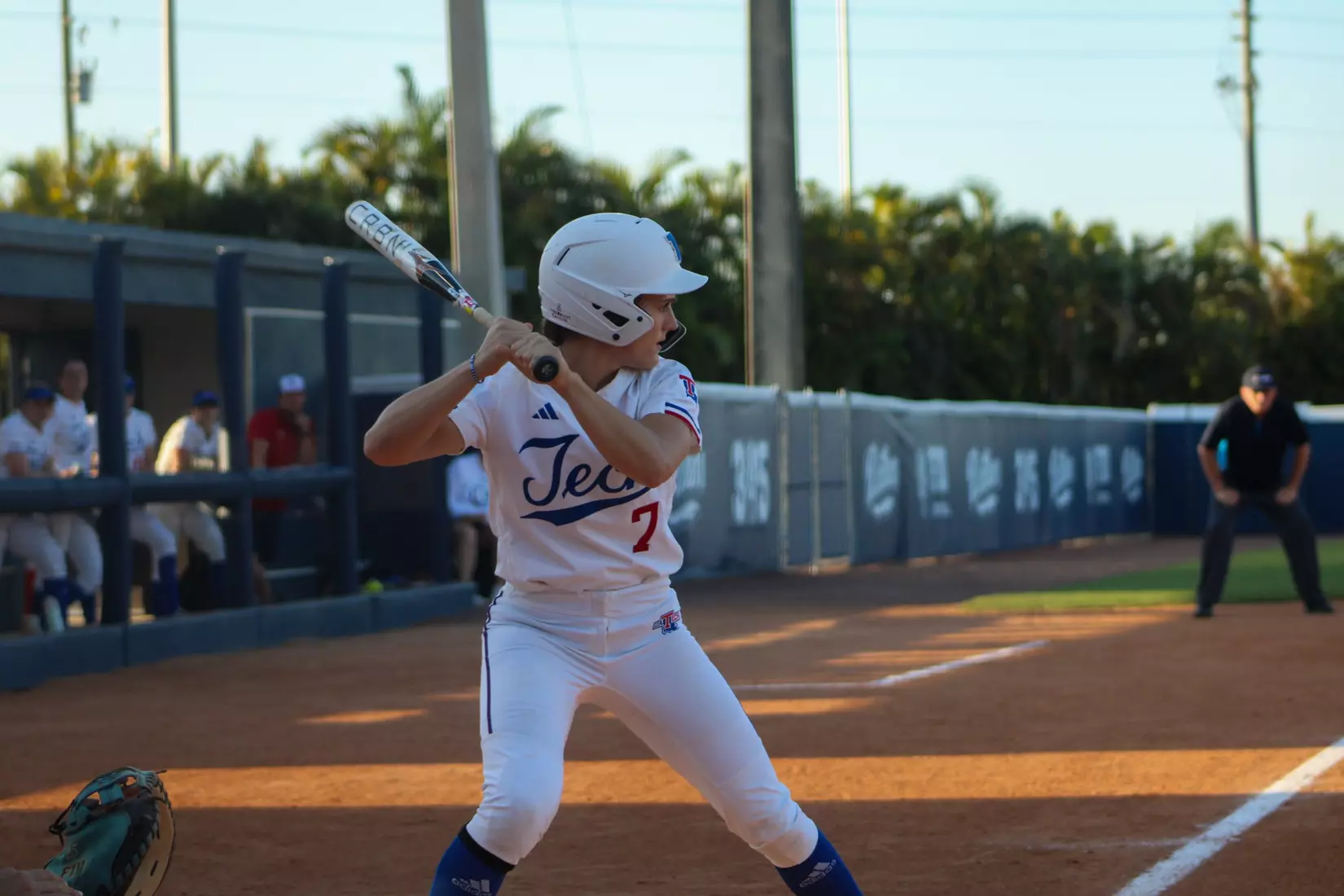 Bulldogs Fall to Panthers in Game Two of Series.